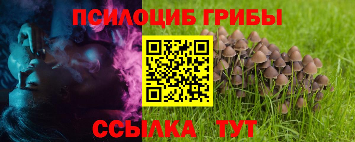 Галлюциногенные грибы мицелий  Вход с VPN  Переславль-Залесский 